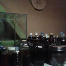 꽃차와 산야초 이미지