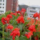 온정면사무소 이미지