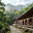 태조참숯갈비 | 합천 해인사 팔만대장경 6월 — 홍류동 계곡 신록 트레킹과 초여름 사찰 기행