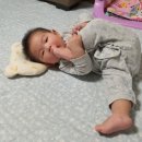 능주어린이집 이미지