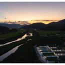 스테이펫 | 경주애견펜션 펫스테이1455 후기 - 따뜻하고 프라이빗한 시간