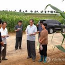 부덕농장 이미지