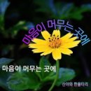 마음이 머무는곳 이미지