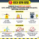 원주리라 이미지