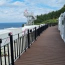 울릉도 카라반 1호 이미지