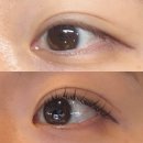 일산 백석역 속눈썹연장 추천 이원장댁 & 에어바디! 까멜리아 CC컬 LED연장 솔직 후기 👁️✨