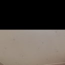 달자네식당 이미지