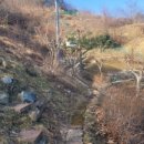 이상농장 이미지