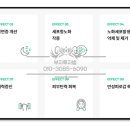 뉴라이프글로벌