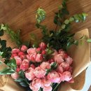 아름다운 약속 이미지