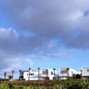 야자수 풀빌라 이미지