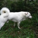 대산실업 이미지