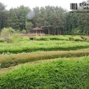 김녕미로공원