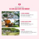 아피오스빌리지야영장 이미지