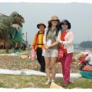 수강약국 이미지