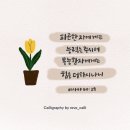 이사야 레브