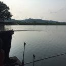 비들지낚시터 이미지