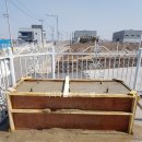 미디자인광고시스템 이미지