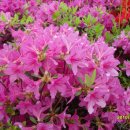 이마트약국 이미지