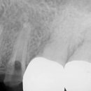 수원탑플란트치과의원 이미지