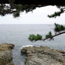 호미곶횟집 이미지