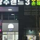 멜루 | 광주 푸들 미용 추천 주월동 애견미용실 멜루 솔직 후기