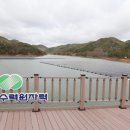 청송 태양광발전소 이미지