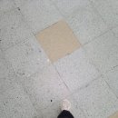 덕성여대구내안경 이미지