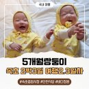5개월 쌍둥이와 2박3일 속초 여행/체스터톤즈,속초중앙시장,단천식당,바다정원
