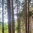 막스시오전주 이미지