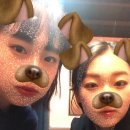 멍멍데잇 이미지