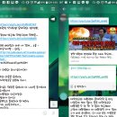 부화장 이미지