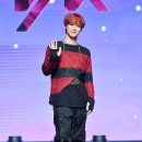니크