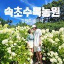 속초 수목농원 이미지