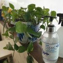 시크당구장 이미지