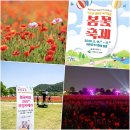 옥동전기철물 | 울산가볼만한곳 태화강 국가정원 봄꽃축제 초대가수 주차장 여행