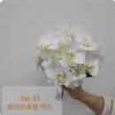 대전 하우스오브에이미 본식 드레스 피팅 ᡣ • . • 𐭩 ♡