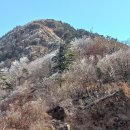 (주)우리얼음 이미지