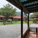 느티나무골펜션 이미지