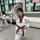 경희대 청룡태권도 이미지