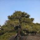 구암동387 이미지