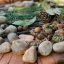 정암유치원 이미지