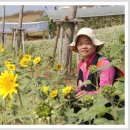 정원축산 이미지