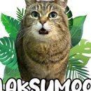 제주공항게스트하우스그린데이 이미지