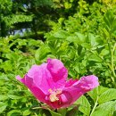 순천만힐링 이미지