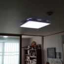 평화제일 이미지