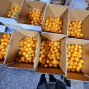 주현2농장 이미지