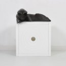 더 크린＃ 이미지