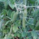 민혁농장 이미지