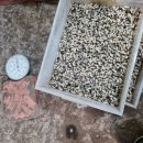 성광 2농장 이미지